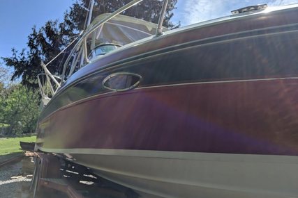 Rinker 230 Festiva