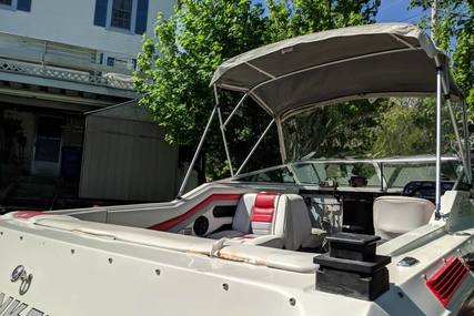 Rinker 230 Festiva