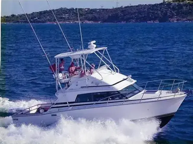 Bertram 33 Sport Fish