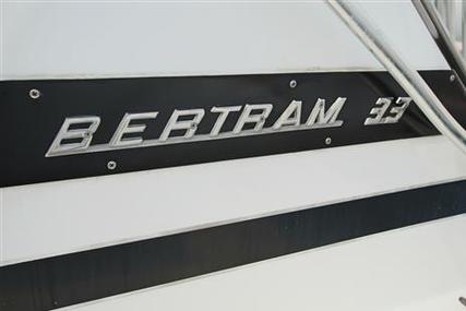 Bertram 33 Sport Fish