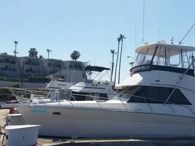 Riviera 36