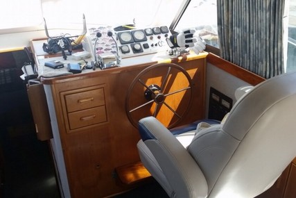 Riviera 36