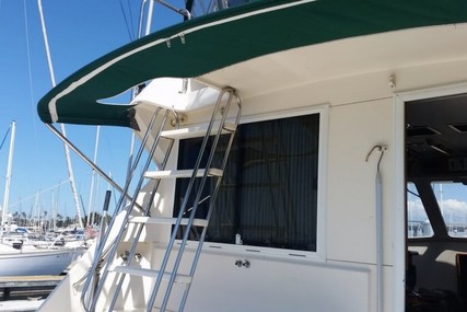 Riviera 36