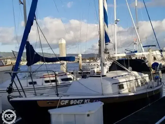 Skookum 28