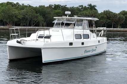 Endeavour Catamaran Trawler Cat 36