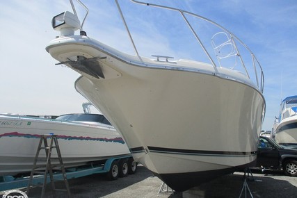 Bayliner Avanti 3255 Sunbridge