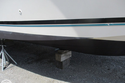 Bayliner Avanti 3255 Sunbridge