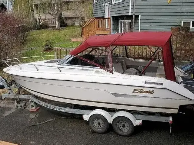 Seaswirl 220 SWL