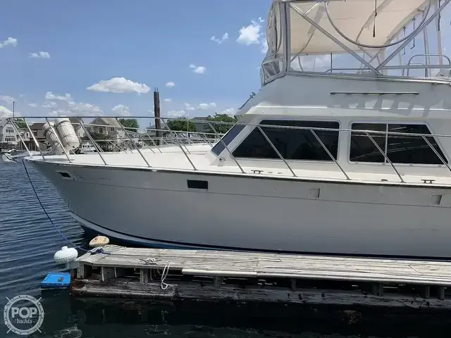 Luhrs 38