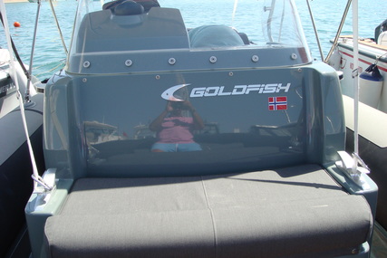 Goldfish 25 Rib Tender