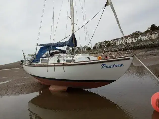 Macwester 26