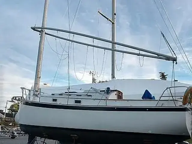 Nonsuch Classic 26