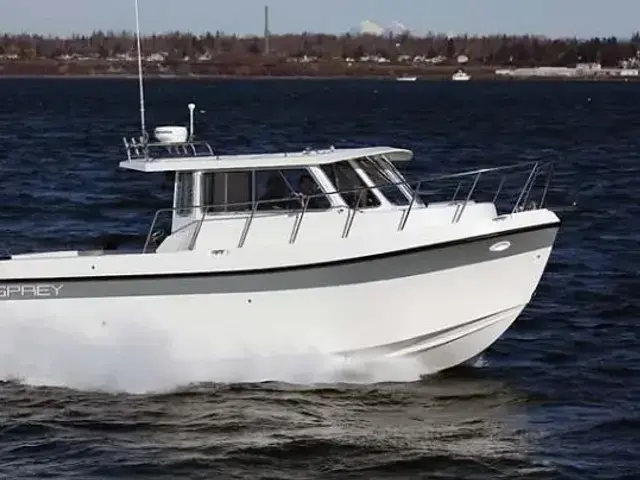 Osprey 28 Long Cabin