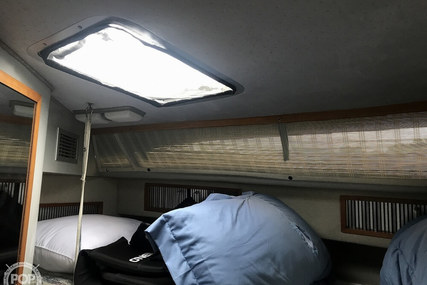 Sea Ray 390 Express Cruiser