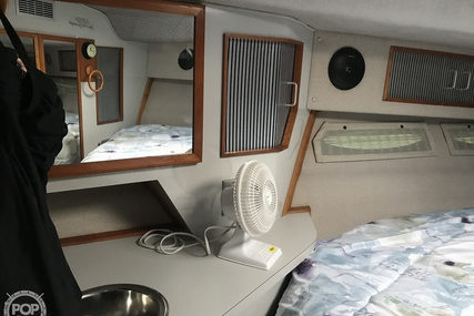 Sea Ray 390 Express Cruiser