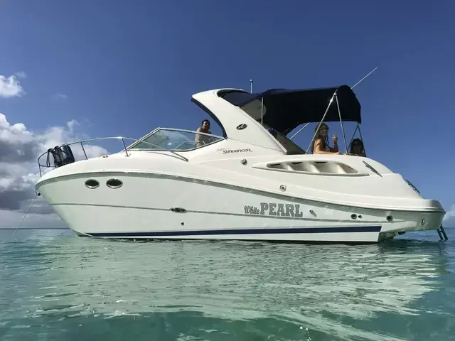 Sea Ray Sundancer 295