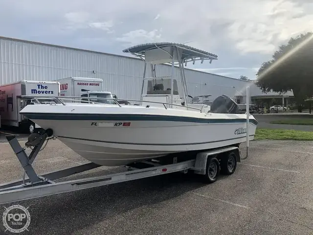 Robalo Wahoo