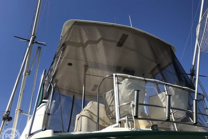 Riviera 36