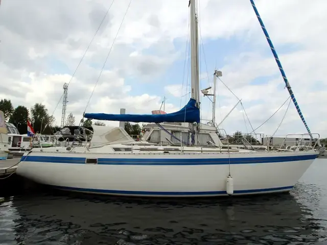 Grampian 37