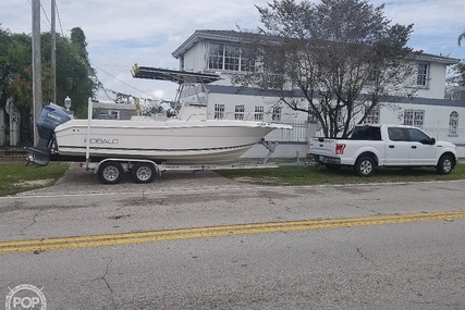 Robalo R 230