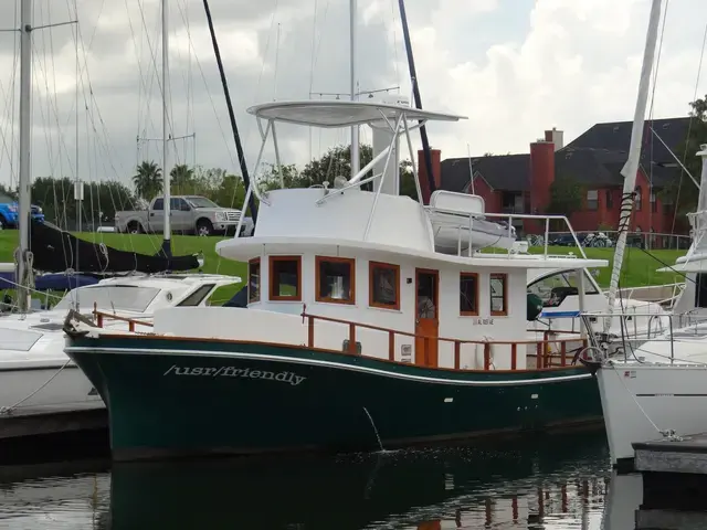 Donelle 35