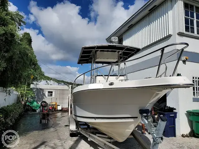 Robalo R 230