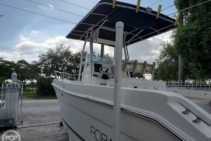 Robalo R 230