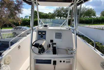 Robalo R 230