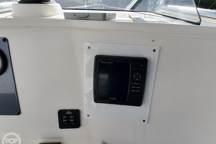 Robalo R 230