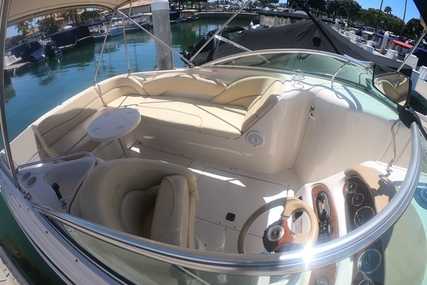 Sea Ray 240 Sun Deck