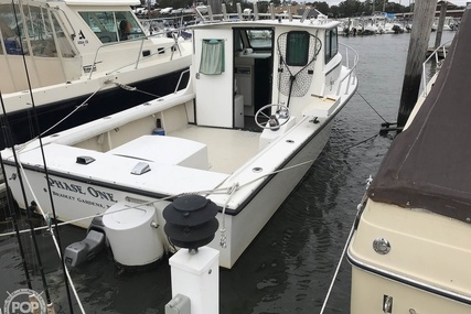 C Hawk 25 Pilothouse