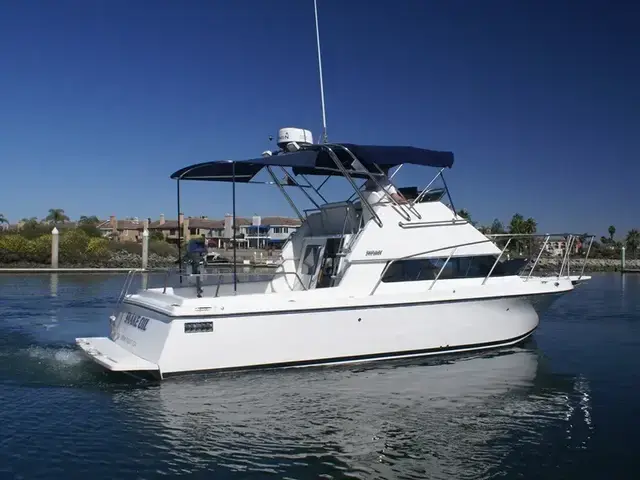 Skipjack Flybridge Flybridge 262