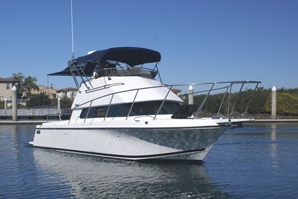 Skipjack Flybridge Flybridge 262