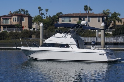 Skipjack Flybridge Flybridge 262