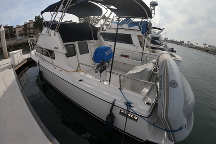 Skipjack Flybridge Flybridge 262