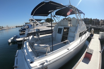 Skipjack Flybridge Flybridge 262