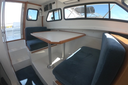 Skipjack Flybridge Flybridge 262