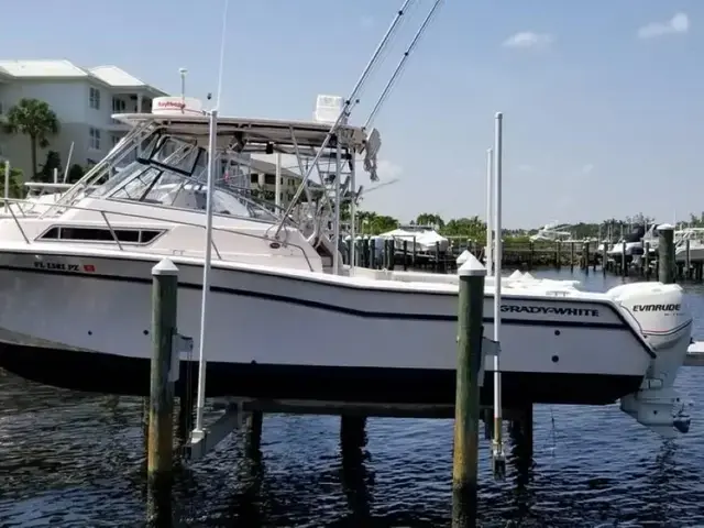 Grady White Marlin 30'