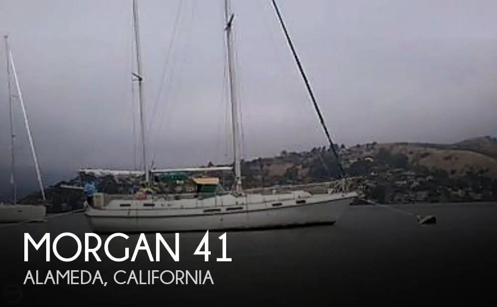 Morgan 41