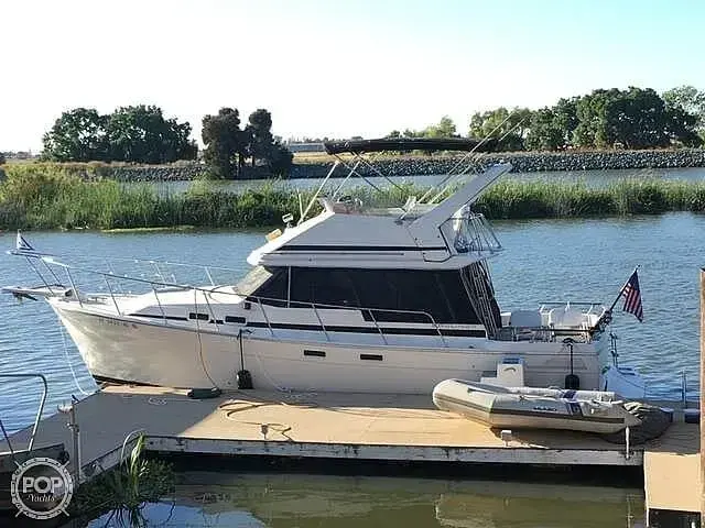 Bayliner EXPLORER 3270 - Double Cabin Flybridge Motor Yacht