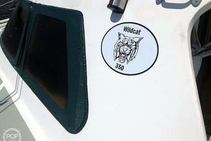 Wildcat 350