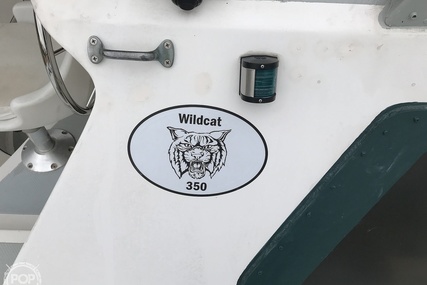 Wildcat 350