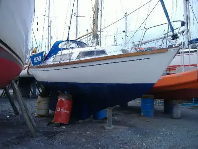 Hurley 27