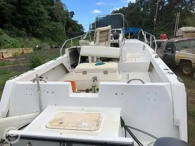 Glacier Bay 202 Center Console