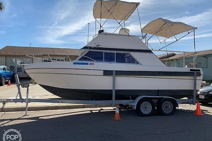 Bayliner 2350 Nisqually