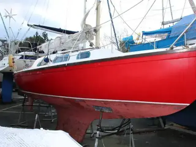 Achilles 24