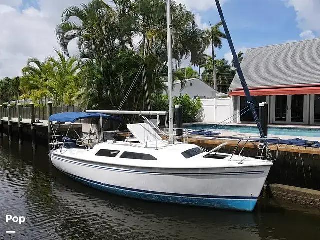 Catalina 250